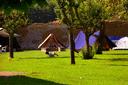 Les 5/6 ans au camping