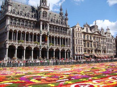 Tapis de fleurs sur la Grand Place de Bruxelles