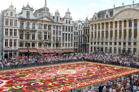 Tapis de fleurs sur la Grand Place de Bruxelles