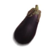 aubergine9