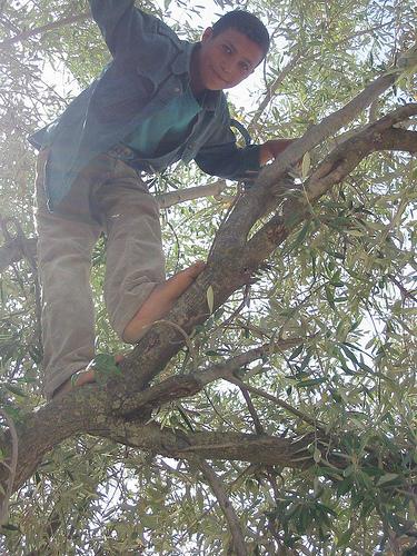 Deux bergers et une balançoire