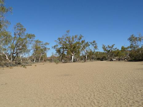 Australie #29 : Simpsons Gap #4