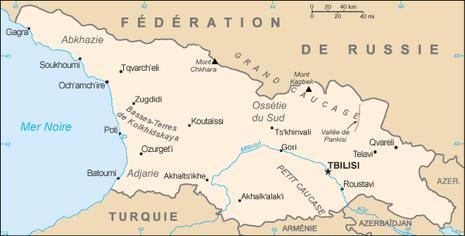 Deux ports dans la guerre du Caucase : les grands tests de Poti et de Sébastopol