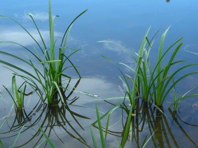 Roadbook Pays Arédien: Lacs Fermes Auberges
