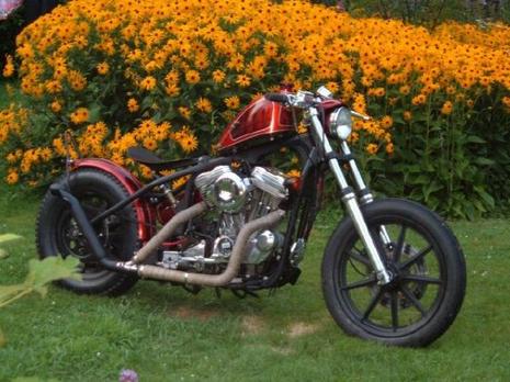 Vendanges d'acier Vendanges d'acier