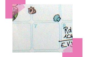 concours1.png, aoû 2008