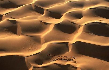 Dunes du Sahara