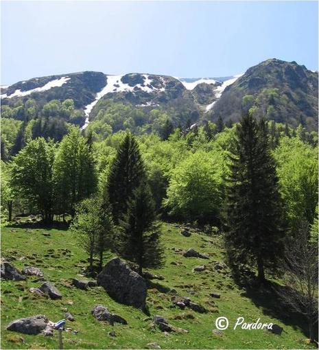 Bloggeuse invitée: Enriqueta Bloggeuse invitée: Enriqueta