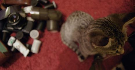 Toujours dans le genre…