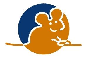 Début de la nouvelle saison pour le CMQ