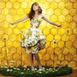 Pushing daisies saison 2, une touche de magie free image host