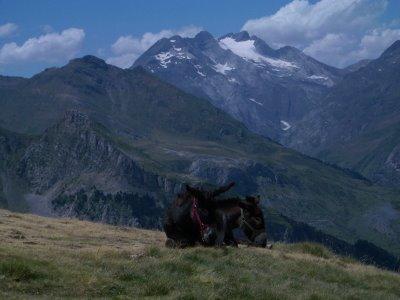 La Hourquette d'Alans ou l'enfer en altitude