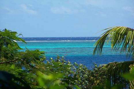 Les vin de Tahiti tahiti.jpg