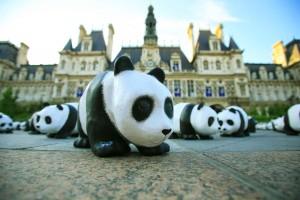 Panda WWF 35 ans Franck Charel Paris 2008