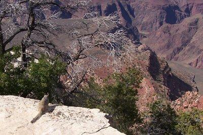 Balade rive sud du Grand Canyon