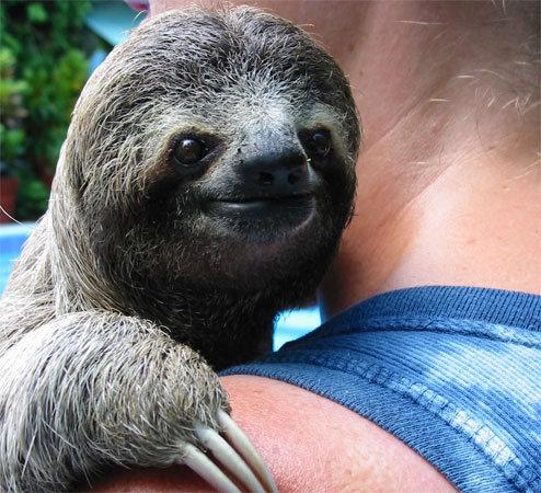 Image insolite : Tout le monde à besoin d’un calin ! calin.jpg