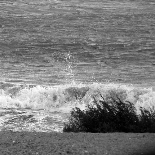 Vague_nb_large_2 Vague_nb_large_2