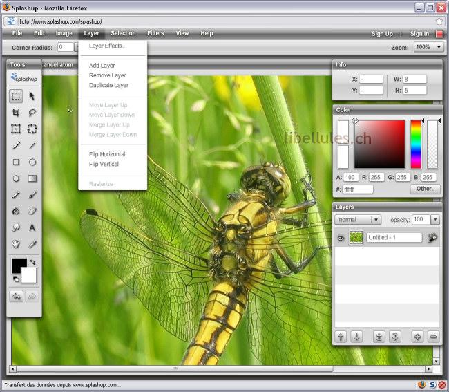 Editeurs d'image en ligne splashup