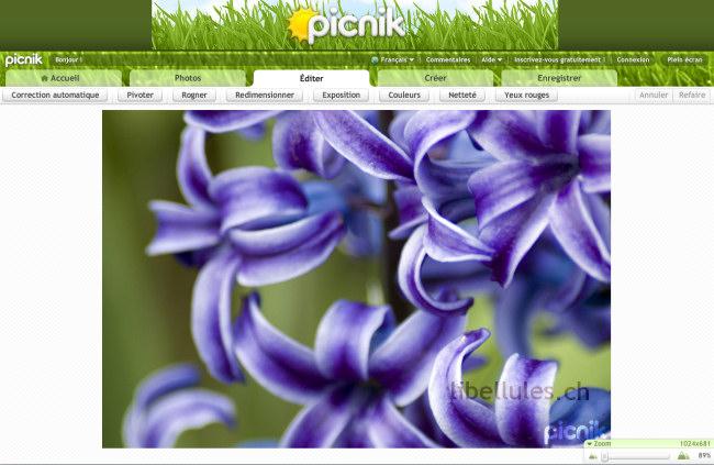 Editeurs d'image en ligne picnik