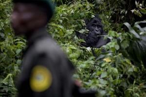 Brent Stirton