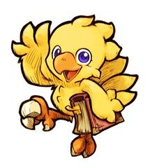 Final Fantasy Fables : Chocobo's Dungeon sur Wii