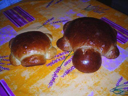 Tortues (brioche) saveur Citron tortue_grande_011
