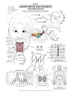 Tom Giesler Anatomy Tables - Planches d'Anatomie