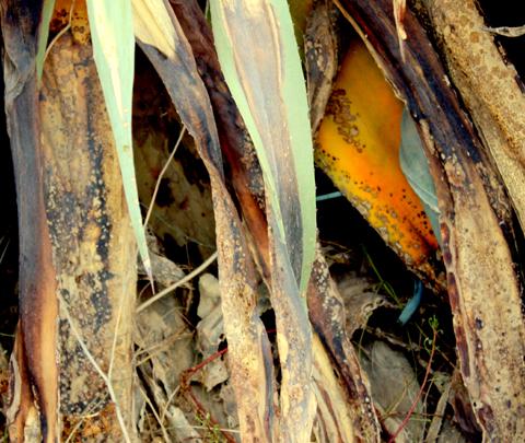 la-spirale-infernale