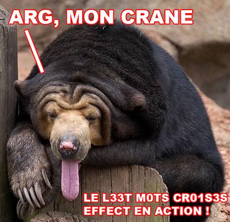 Les l33ts M0ts cr0is3s n°15 ours