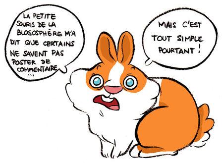 Question existentielle: Comment poster un commentaire ?? comm2