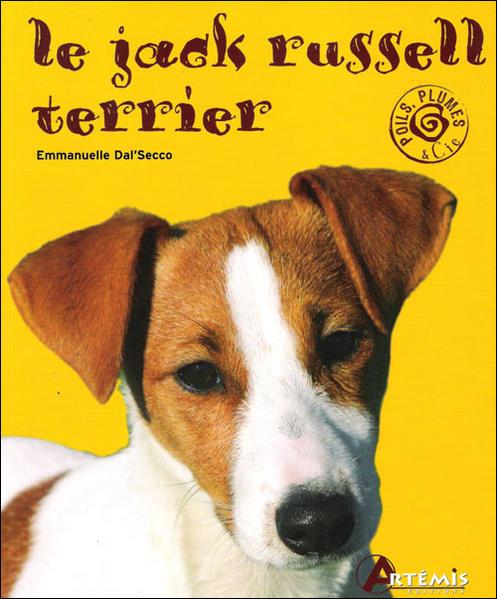 le jack russell terrier