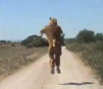 vidéo rémi gaillard kangourou nimporte qui