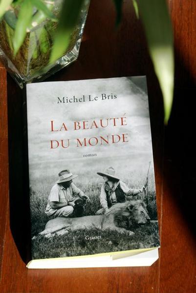 La beauté du monde * / Michel Le Bris