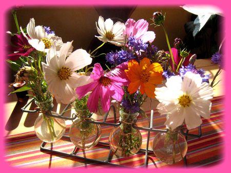 Crème caramélisée à la lavande fleurs