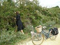 Un petit bout de france: Normandie mon amour