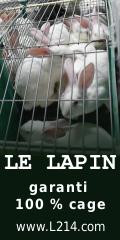 lapin-cage-120x240.1221601091.png
