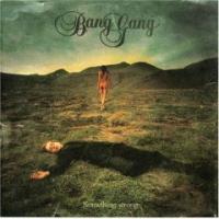 MUSIQUE - Something wrong (Bang Gang) : Planant (9/10)