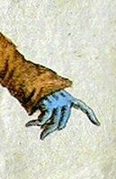 Les gants.