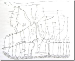 Les Vouillants image