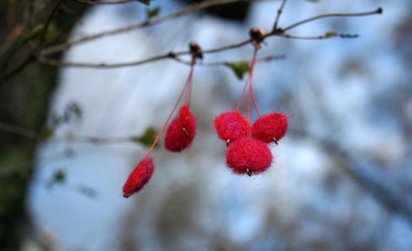 atomes cousus atomes_cousus01Blg