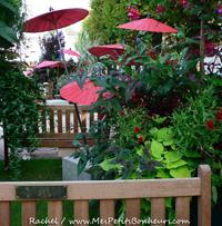 Le Livre sur la Place grève un peu mon budget ! Shopping à Nancy, le 19/09/08 Le Livre sur la Place grève un peu mon budget ! Shopping à Nancy, le 19/09/08