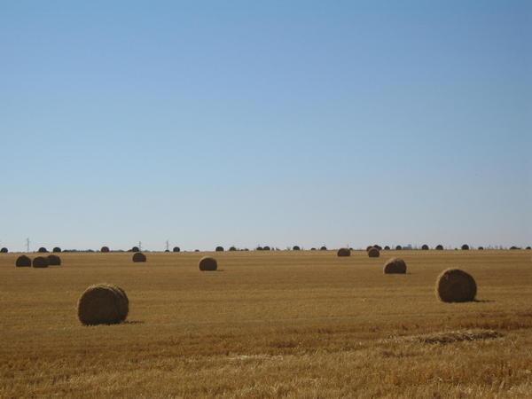 90 (quatre-vingt-dix)