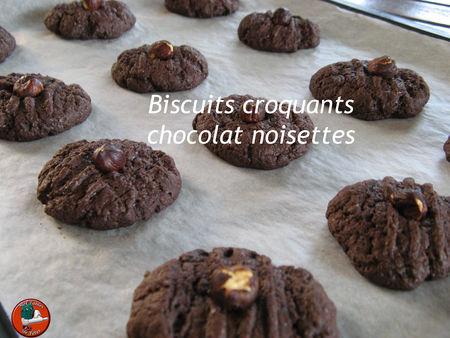 Biscuits_croquants_chocolat