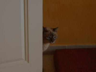 Rencontre fille huy