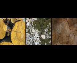 Un calme feu. Triptyque d'automne Un_calme_feu_tryptique_d_automne_2