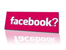 Facebook et les rencontres vu par les bridgets