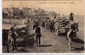 L'oignon rosé de Roscoff L'oignon rosé de Roscoff