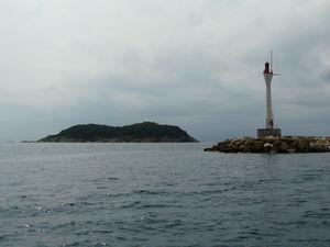 Provence : la ciotat - ile verte. P1050620
