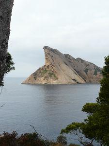 Provence : la ciotat - ile verte. P1050659