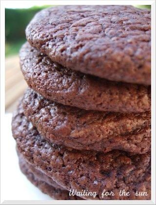 ≈ outrageous chocolate cookies ≈